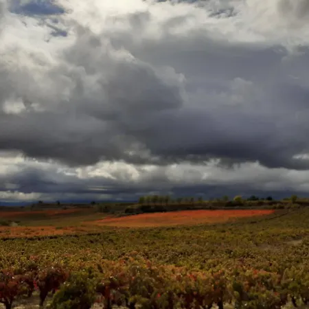 Country house Erletxe