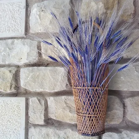 Country house Erletxe